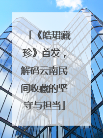 《皓珺藏珍》首发，解码云南民间收藏的坚守与担当