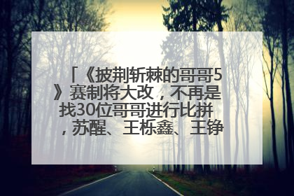 《披荆斩棘的哥哥5》赛制将大改，不再是找30位哥哥进行比拼，苏醒、王栎鑫、王铮亮、张远等多名男团选手被曝将参加