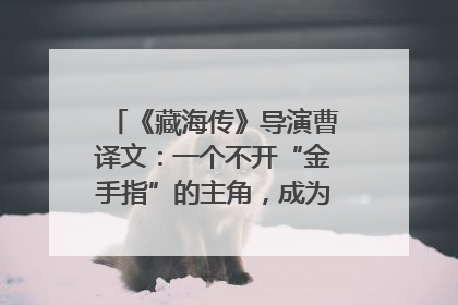 《藏海传》导演曹译文：一个不开“金手指”的主角，成为苍生守护者