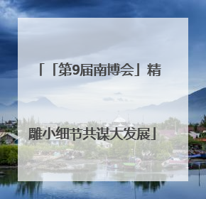 「第9届南博会」精雕小细节共谋大发展
