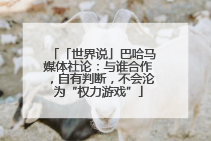 「世界说」巴哈马媒体社论：与谁合作，自有判断，不会沦为“权力游戏”