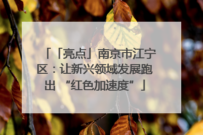 「亮点」南京市江宁区：让新兴领域发展跑出 “红色加速度”