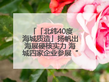 「北纬40度 海城质造」扬帆出海展硬核实力 海城四家企业参展“中东欧”展览会