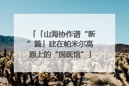 「山海协作谱“新”篇」建在帕米尔高原上的“国医馆”