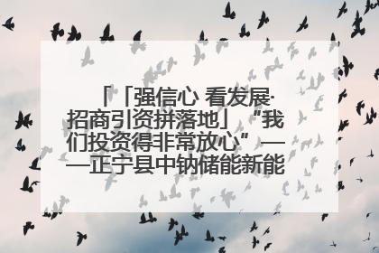 「强信心 看发展·招商引资拼落地」“我们投资得非常放心”——正宁县中钠储能新能源项目建设见闻