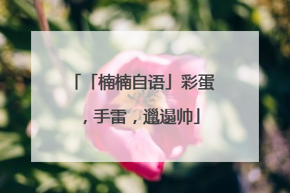 「楠楠自语」彩蛋，手雷，邋遢帅