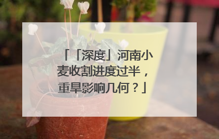 「深度」河南小麦收割进度过半，重旱影响几何？