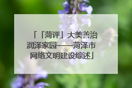 「菏评」大美善治润泽家园——菏泽市网络文明建设综述