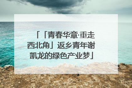 「青春华章·重走西北角」返乡青年谢凯龙的绿色产业梦
