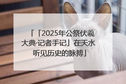 「2025年公祭伏羲大典·记者手记」在天水 听见历史的脉搏