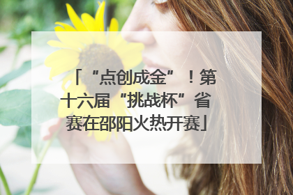 “点创成金”！第十六届“挑战杯”省赛在邵阳火热开赛