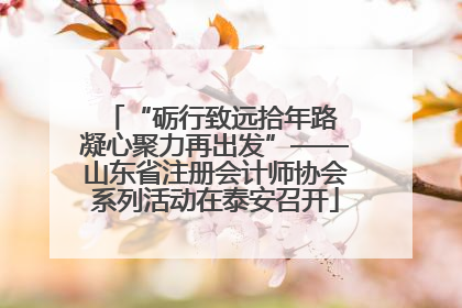 “砺行致远拾年路 凝心聚力再出发”——山东省注册会计师协会系列活动在泰安召开