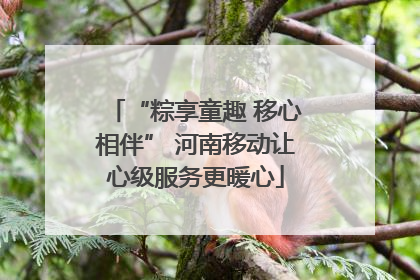 “粽享童趣 移心相伴” 河南移动让心级服务更暖心