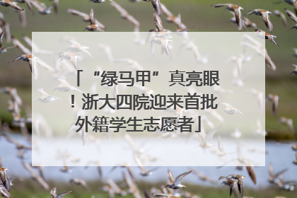“绿马甲”真亮眼！浙大四院迎来首批外籍学生志愿者