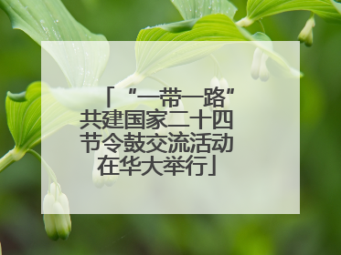 “一带一路”共建国家二十四节令鼓交流活动在华大举行