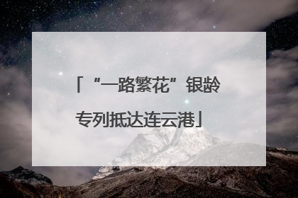 “一路繁花”银龄专列抵达连云港