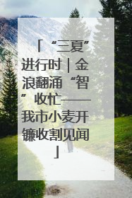 “三夏”进行时｜金浪翻涌“智”收忙——我市小麦开镰收割见闻