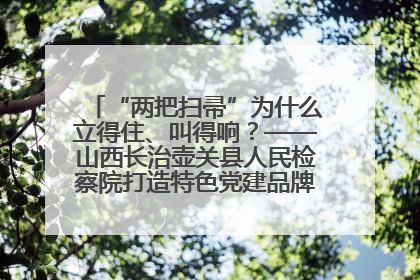 “两把扫帚”为什么立得住、叫得响？——山西长治壶关县人民检察院打造特色党建品牌激活发展动能