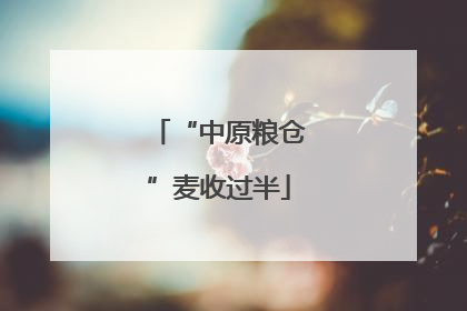 “中原粮仓”麦收过半