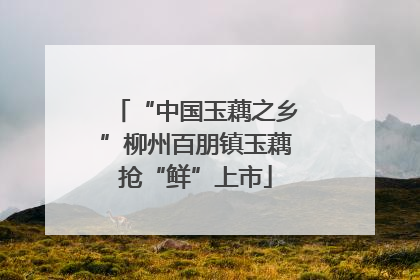 “中国玉藕之乡”柳州百朋镇玉藕抢“鲜”上市