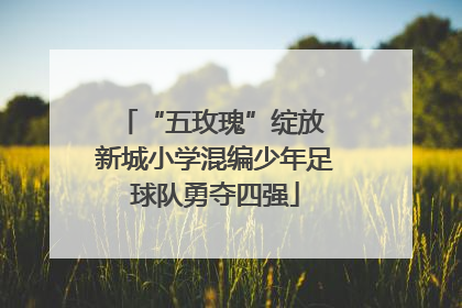 “五玫瑰”绽放 新城小学混编少年足球队勇夺四强