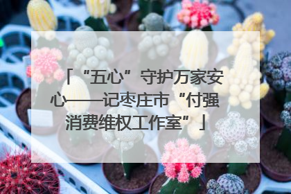 “五心”守护万家安心——记枣庄市“付强消费维权工作室”