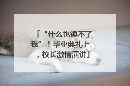 “什么也锤不了我”！毕业典礼上，校长激情演讲