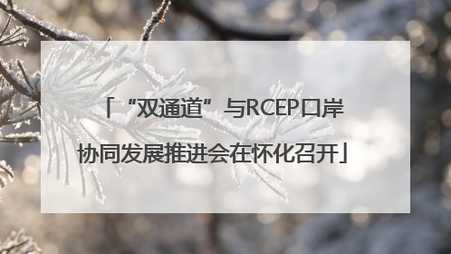 “双通道”与RCEP口岸协同发展推进会在怀化召开