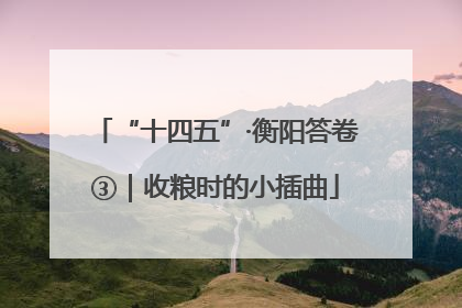 “十四五”·衡阳答卷③｜收粮时的小插曲