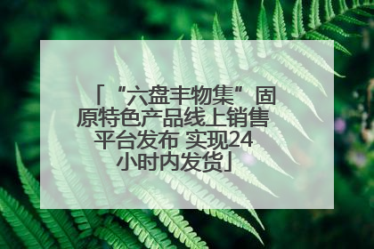 “六盘丰物集”固原特色产品线上销售平台发布 实现24小时内发货