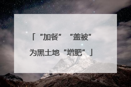 “加餐”“盖被” 为黑土地“增肥”