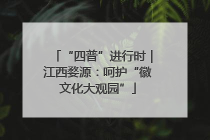 “四普”进行时｜江西婺源：呵护“徽文化大观园”