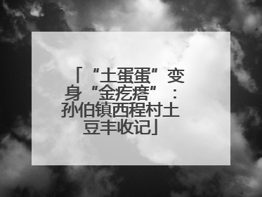 “土蛋蛋”变身“金疙瘩”：孙伯镇西程村土豆丰收记