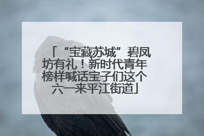 “宝藏苏城”碧凤坊有礼！新时代青年榜样喊话宝子们这个六一来平江街道