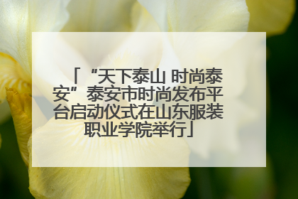 “天下泰山 时尚泰安”泰安市时尚发布平台启动仪式在山东服装职业学院举行