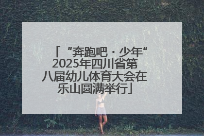 “奔跑吧・少年”2025年四川省第八届幼儿体育大会在乐山圆满举行