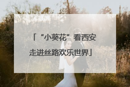 “小葵花”看西安走进丝路欢乐世界