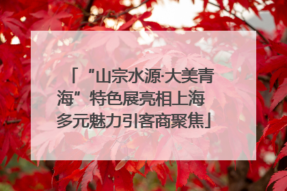 “山宗水源·大美青海”特色展亮相上海 多元魅力引客商聚焦