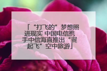 “打飞的”梦想照进现实 中国电信携手中信海直推出“翼起飞”空中旅游