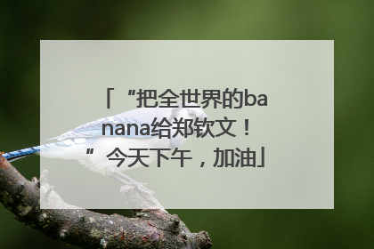 “把全世界的banana给郑钦文！”今天下午，加油