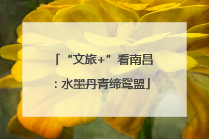 “文旅+”看南昌：水墨丹青缔鸳盟