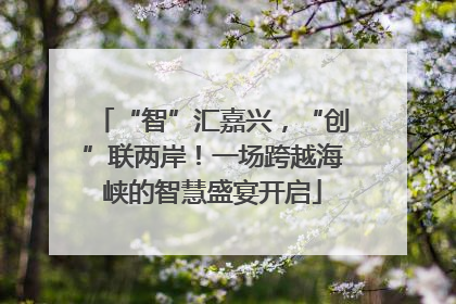 “智”汇嘉兴，“创”联两岸！一场跨越海峡的智慧盛宴开启
