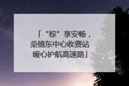 “棕”享安畅，桑植东中心收费站暖心护航高速路