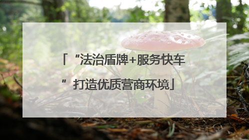 “法治盾牌+服务快车”打造优质营商环境