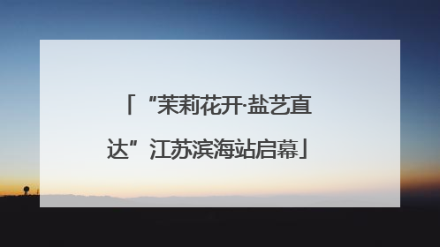 “茉莉花开·盐艺直达”江苏滨海站启幕
