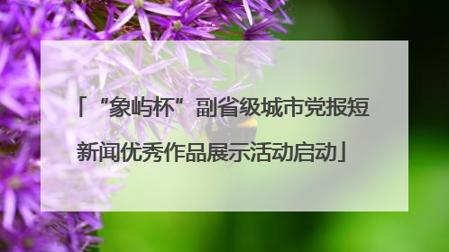 “象屿杯”副省级城市党报短新闻优秀作品展示活动启动