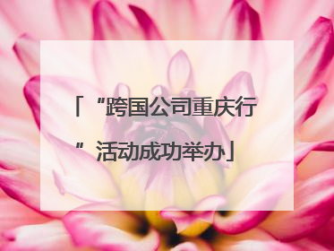“跨国公司重庆行”活动成功举办