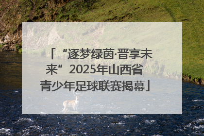 “逐梦绿茵·晋享未来”2025年山西省青少年足球联赛揭幕