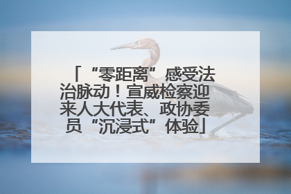 “零距离”感受法治脉动！宣威检察迎来人大代表、政协委员“沉浸式”体验