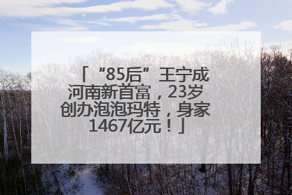 “85后”王宁成河南新首富，23岁创办泡泡玛特，身家1467亿元！